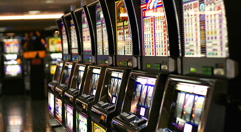 Wild Coast Casino