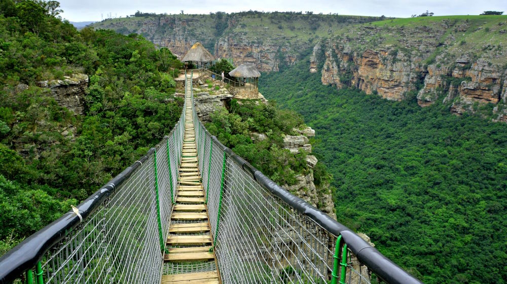 The suspension bridge